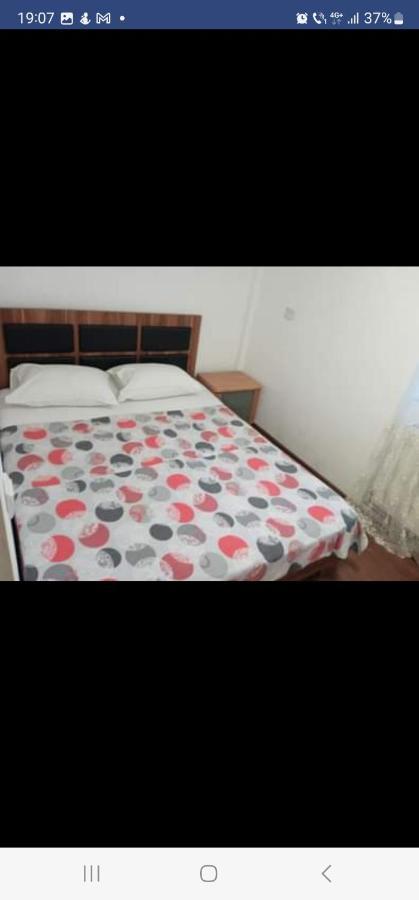 Casa Davison Apartment Târgu Jiu Екстериор снимка