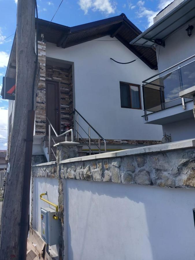 Casa Davison Apartment Târgu Jiu Екстериор снимка