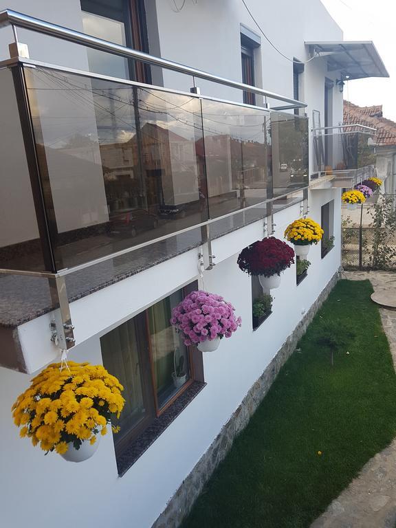 Casa Davison Apartment Târgu Jiu Екстериор снимка