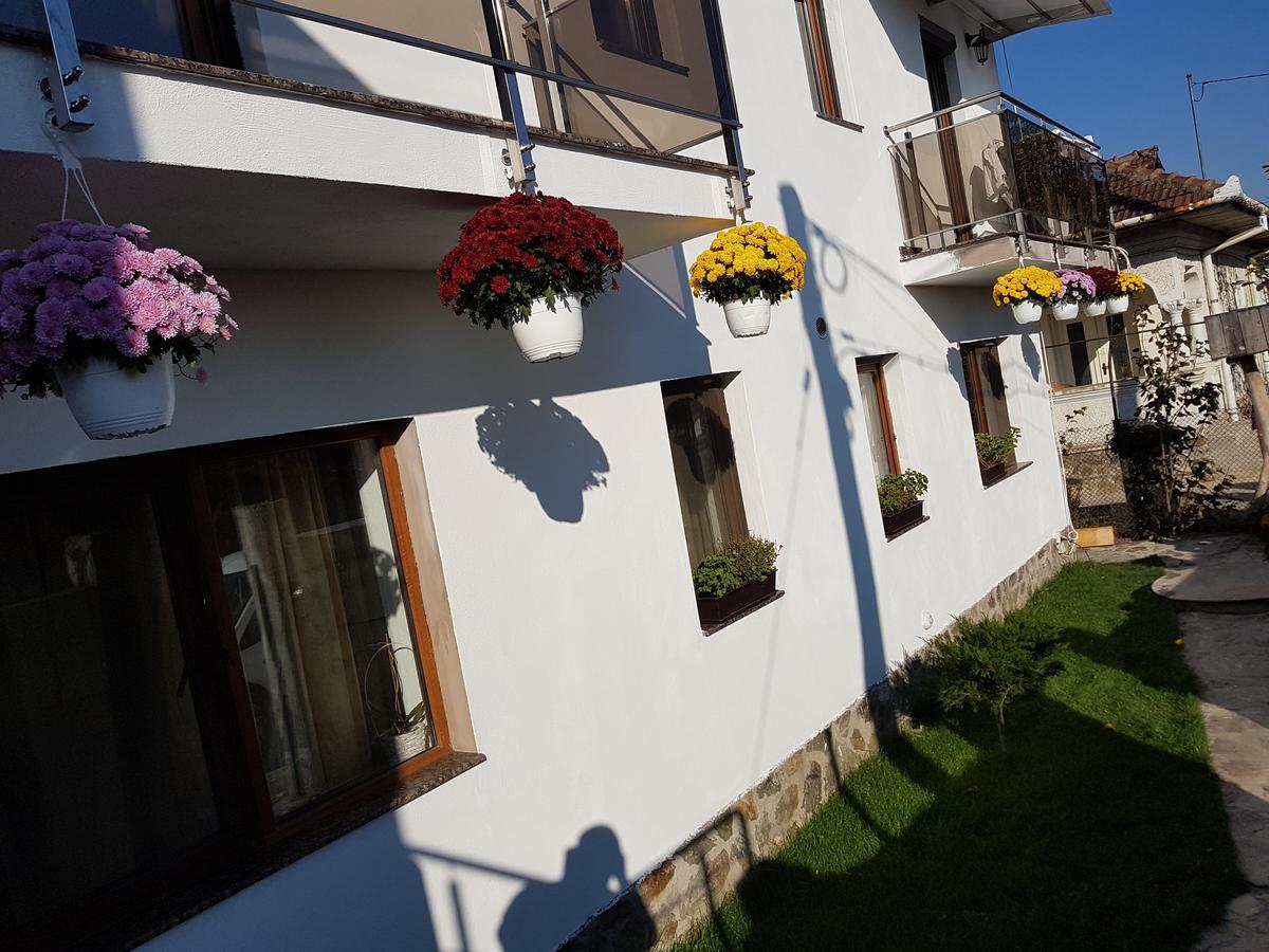 Casa Davison Apartment Târgu Jiu Екстериор снимка
